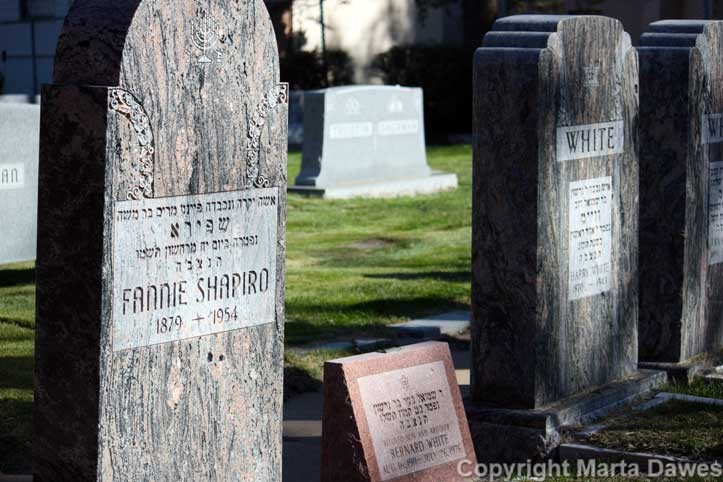 Shapiro Grave